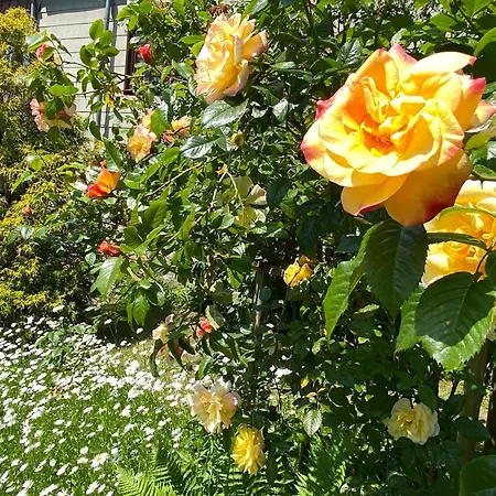 Apartment Reisekultouren Detmold