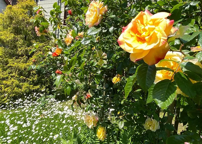 Apartamento Reisekultouren Detmold